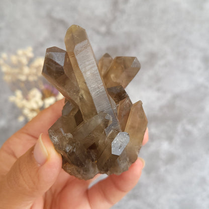 A hand holding a natural smoky quartz crystal cluster against a soft gray textured background.