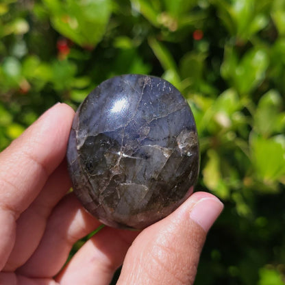 Hand holding a polished labradorite palm stone against a green leafy background