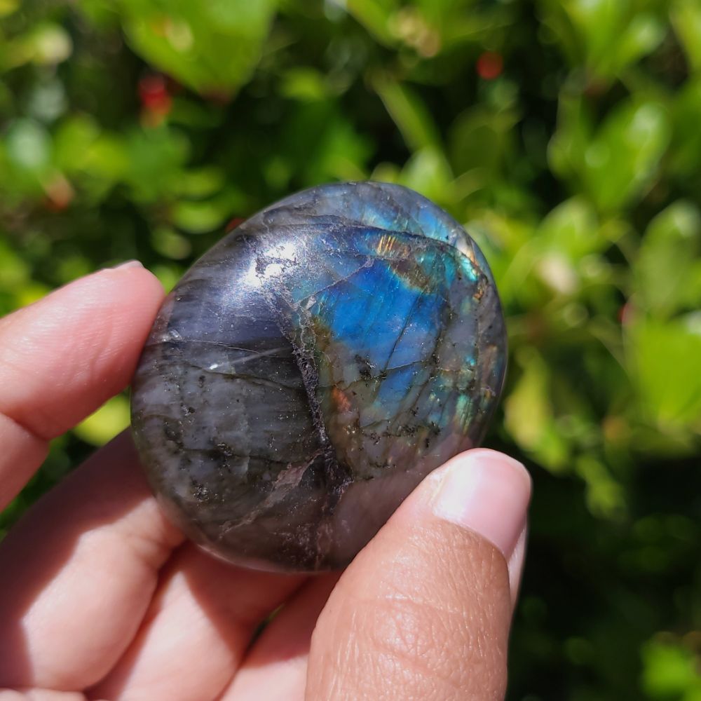 Person holding a labradorite stone with a green leafy background