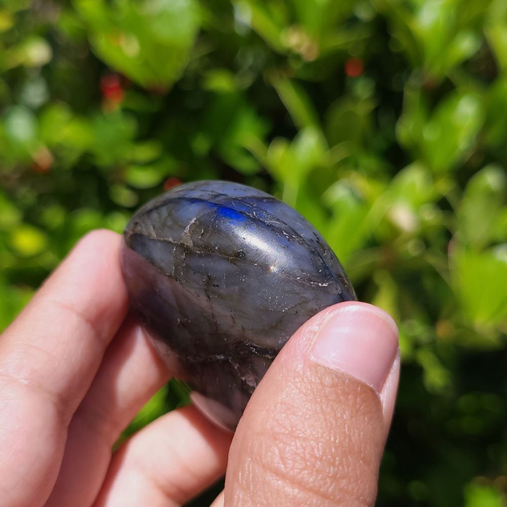 Hand holding a dark stone against a blurred green outdoor background