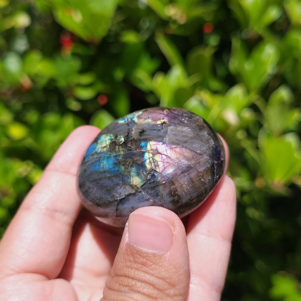 Hand holding a colorful labradorite stone with a green leafy background