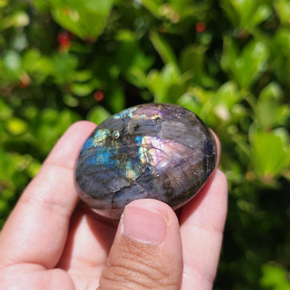 Hand holding a colorful labradorite stone with a green leafy background