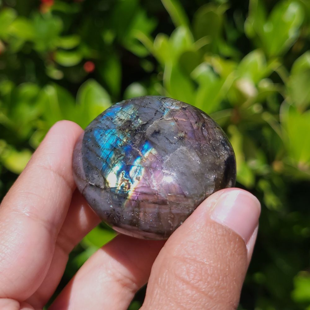 Hand holding a colorful labradorite stone with a blurred green leafy background