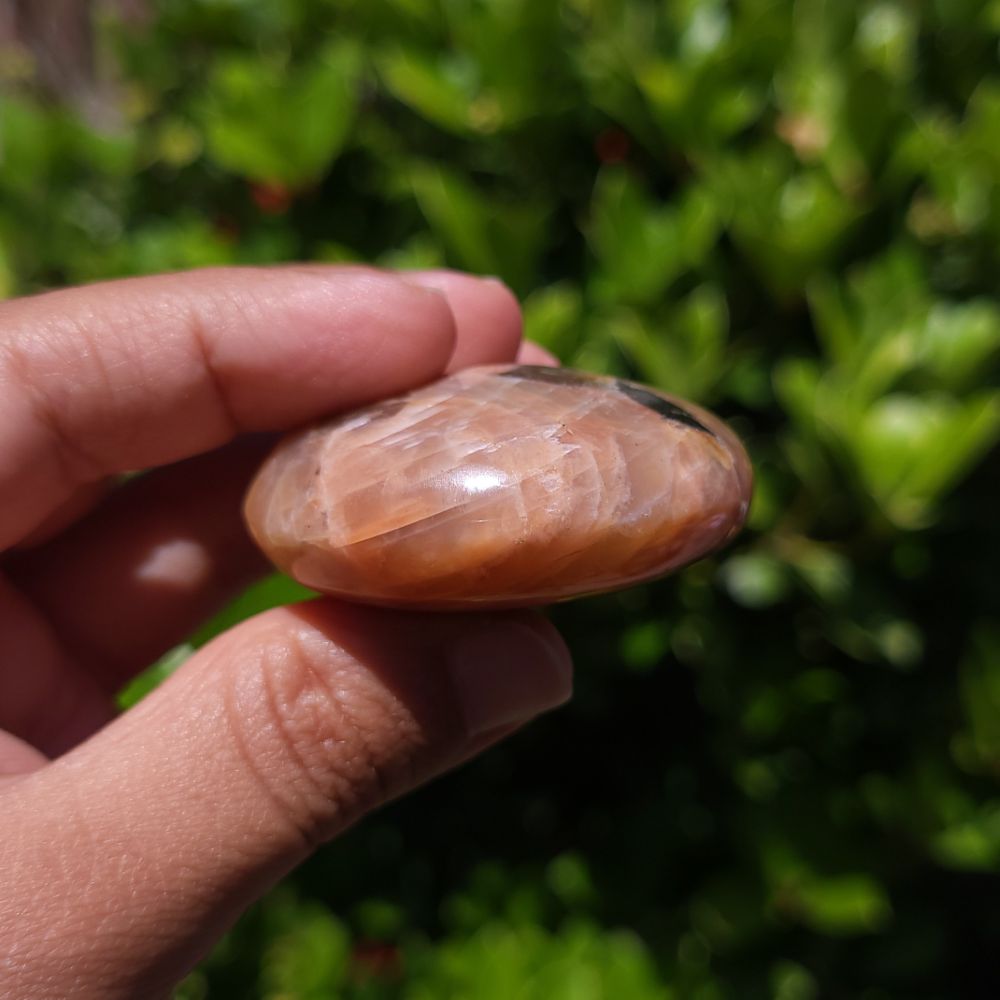 Hand holding a polished peach moonstone with smoky quartz inclusions with a blurred green background