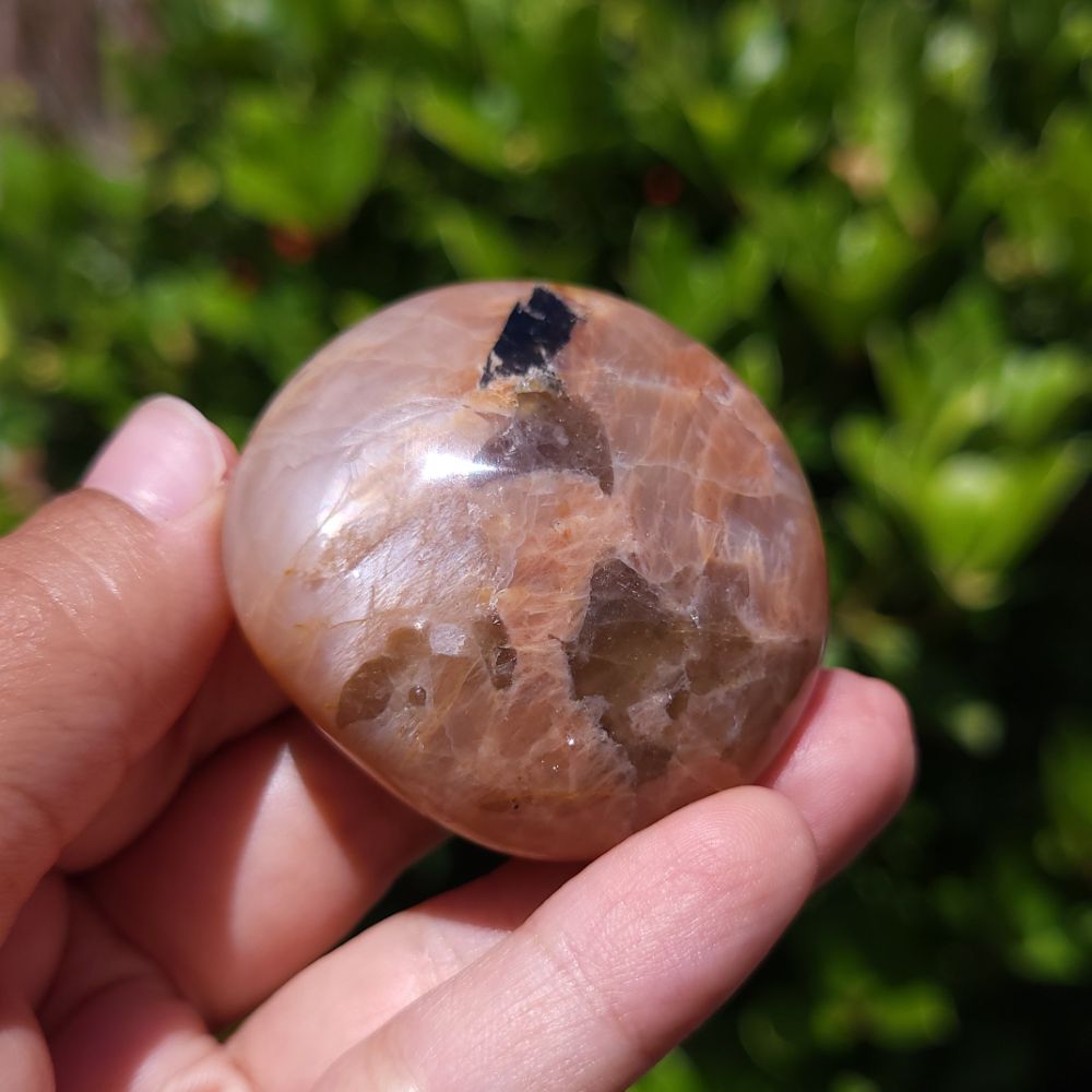 Hand holding a polished peach moonstone with smoky quartz inclusions with a blurred green background