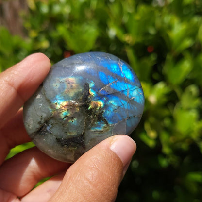 Person holding a labradorite stone with reflective properties against a blurred green background