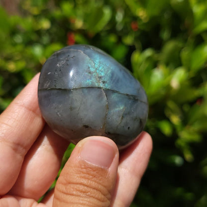 Person holding a labradorite stone with a blurred green background