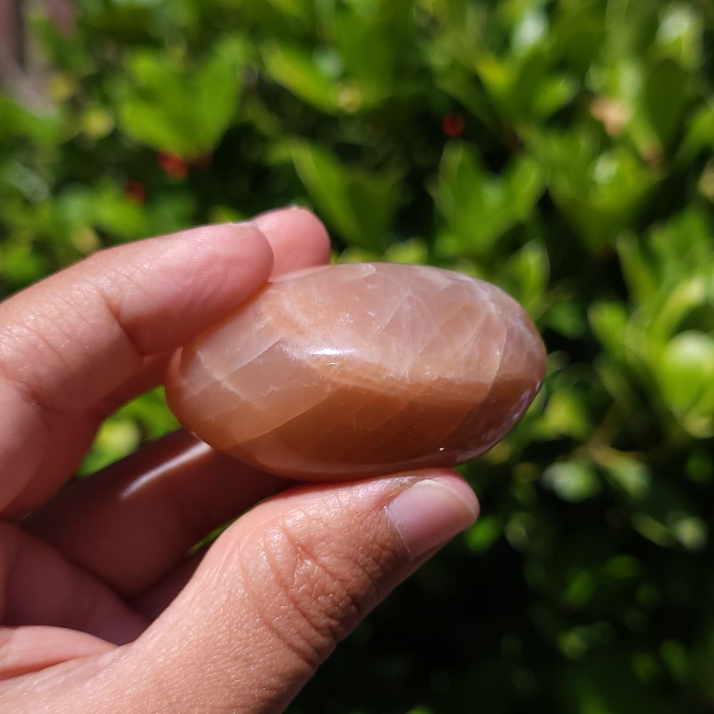 Hand holding a polished Peach Moonstone Palm Stone against a blurred green outdoor background