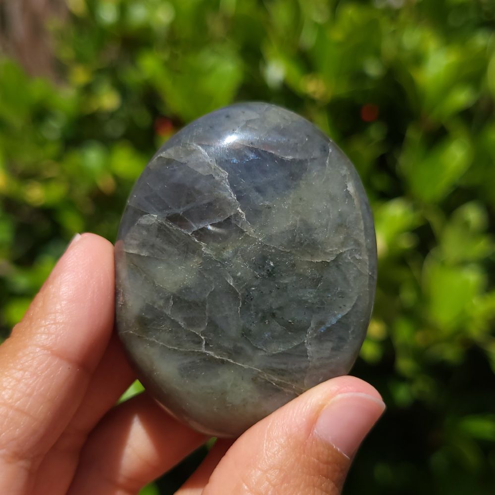Hand holding a polished labradorite stone with a blurred green outdoor background