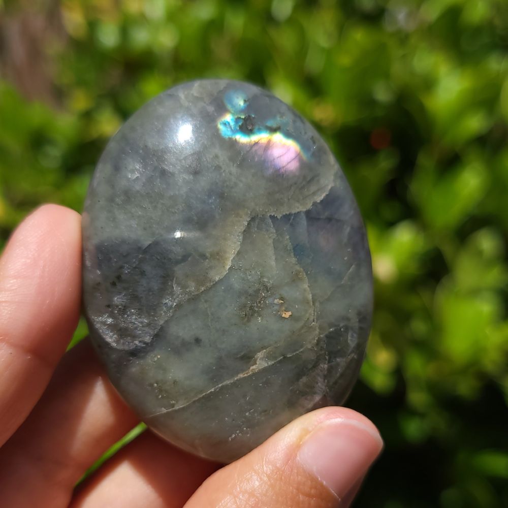 Person holding a labradorite stone with a green leafy background