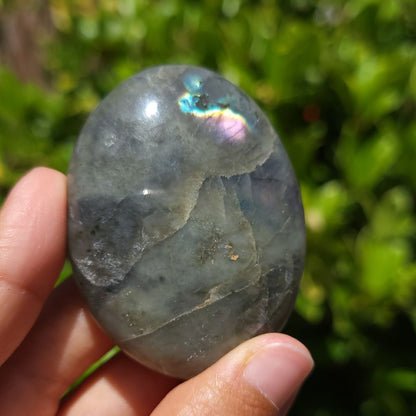Person holding a labradorite stone with a green leafy background