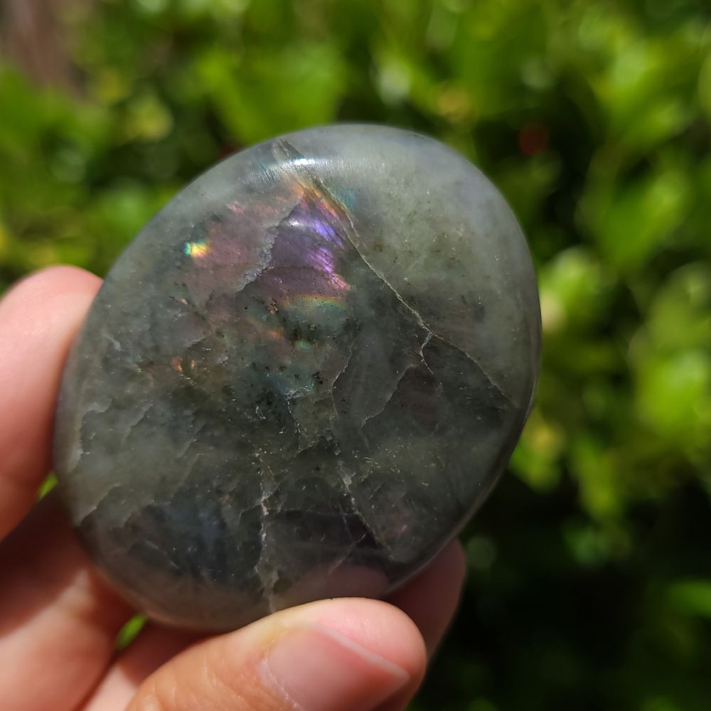 Person holding a polished labradorite stone with a colorful sheen against a blurred green background