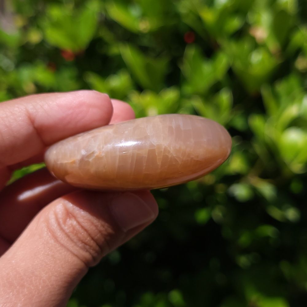 Hand holding a smooth, oval-shaped Peach Moonstone Palm Stone with Smoky Quartz with a blurred green background