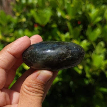 Hand holding a dark stone against a green leafy background