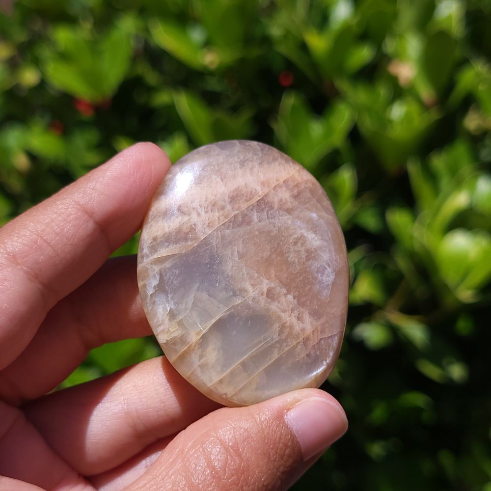 Hand holding a polished peach moonstone palm stone with a natural green background