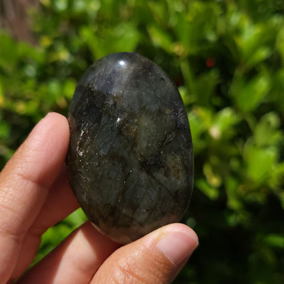 Hand holding a labradorite palm stone against a green leafy background
