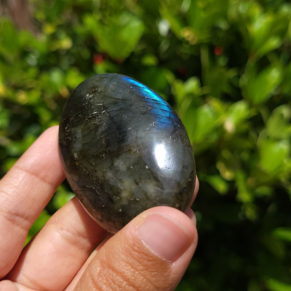 Person holding a labradorite stone with a green leafy background