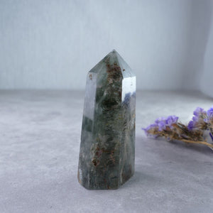 Garden Quartz Tower (5.6cm, 41g) - Nature's Wonder! Delicate tower with captivating inclusions. Explore a miniature world within this crystalline masterpiece.