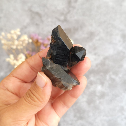 A hand holding a black quartz crystal cluster with multiple pointed mineral formations against a soft gray background with blurred dried flowers.