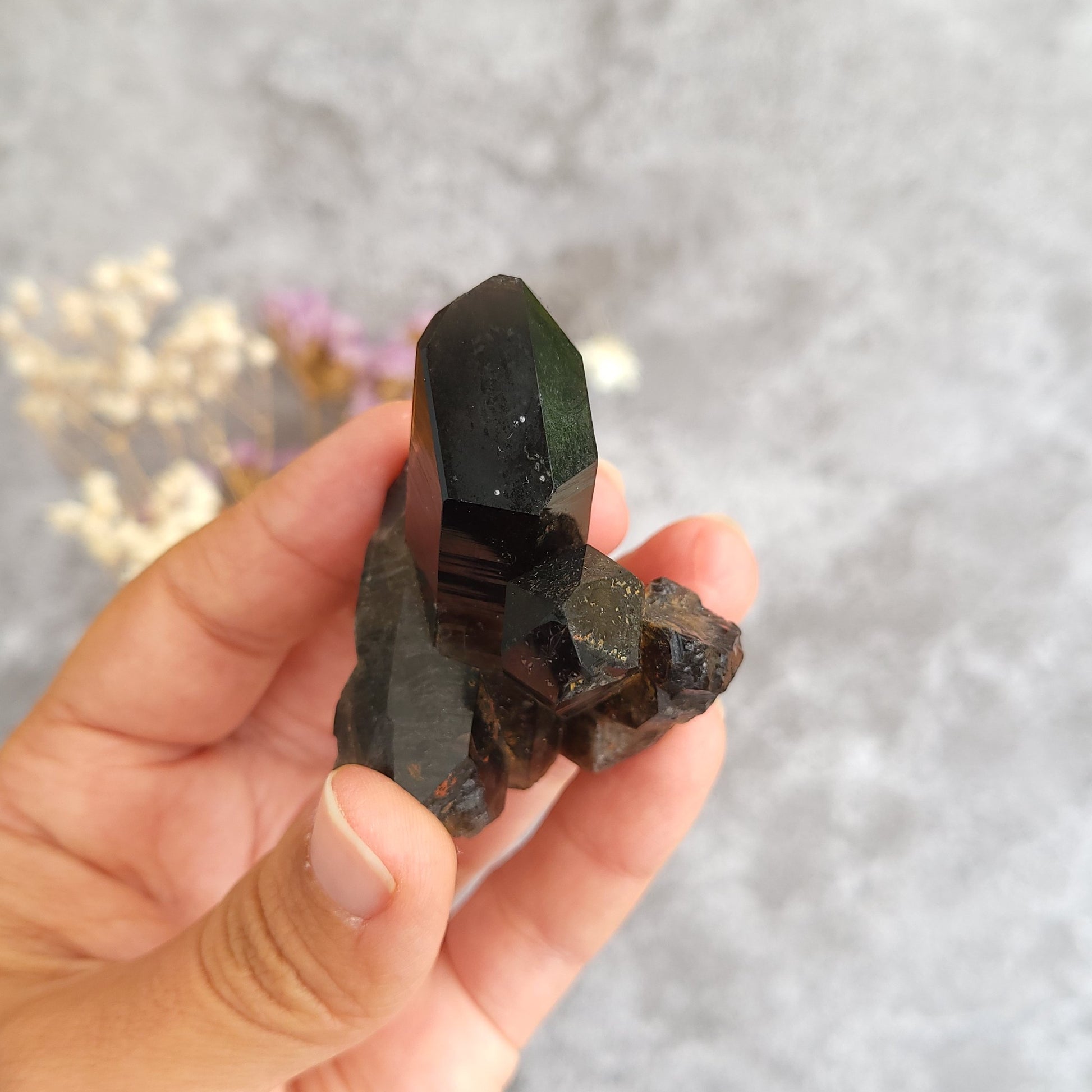 A hand holding a dark, faceted mineral specimen with a prominent green-black crystal point against a soft gray background with blurred dried flowers.