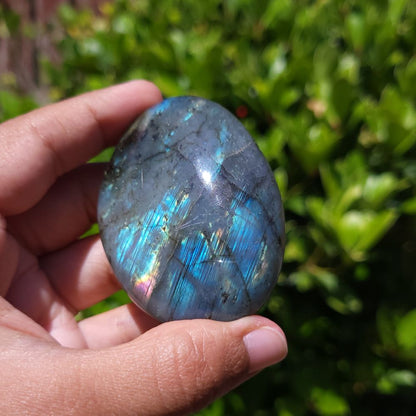 Hand holding a Labradorite stone with a blurred green leafy background