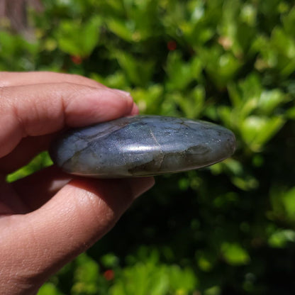 Hand holding a polished stone against a green leafy background