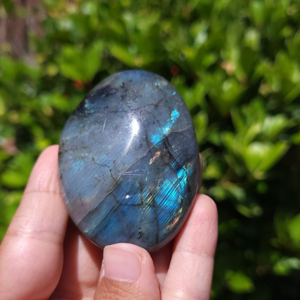 Hand holding a labradorite stone with a blurred green leafy background