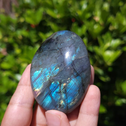 Labradorite stone held in a hand with a blurred green leafy background