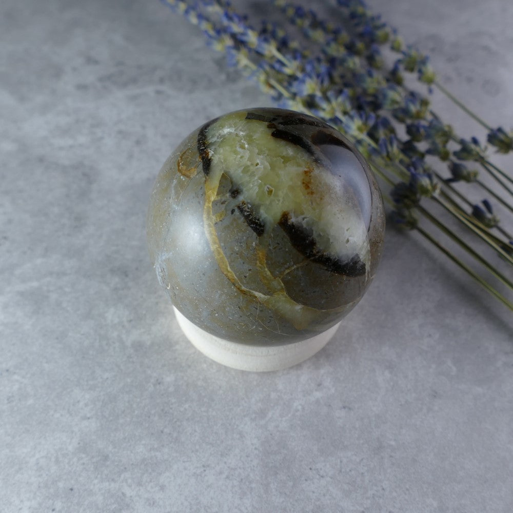 Dragon Stone Crystal Sphere - Dumi's Crystals - Unearth history! This 52mm sphere (187g) showcases Septarian's beauty with golden calcite, brown aragonite, and grey limestone.