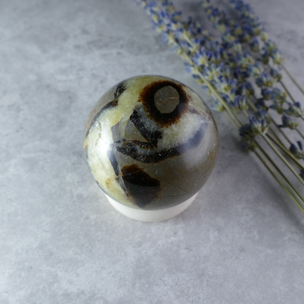 Dumi's Crystals - Septarian Sphere (52mm, 187g) - Earth's Ancient Energy! Dragon Stone sphere features golden calcite, brown aragonite, and grey limestone in captivating patterns.
