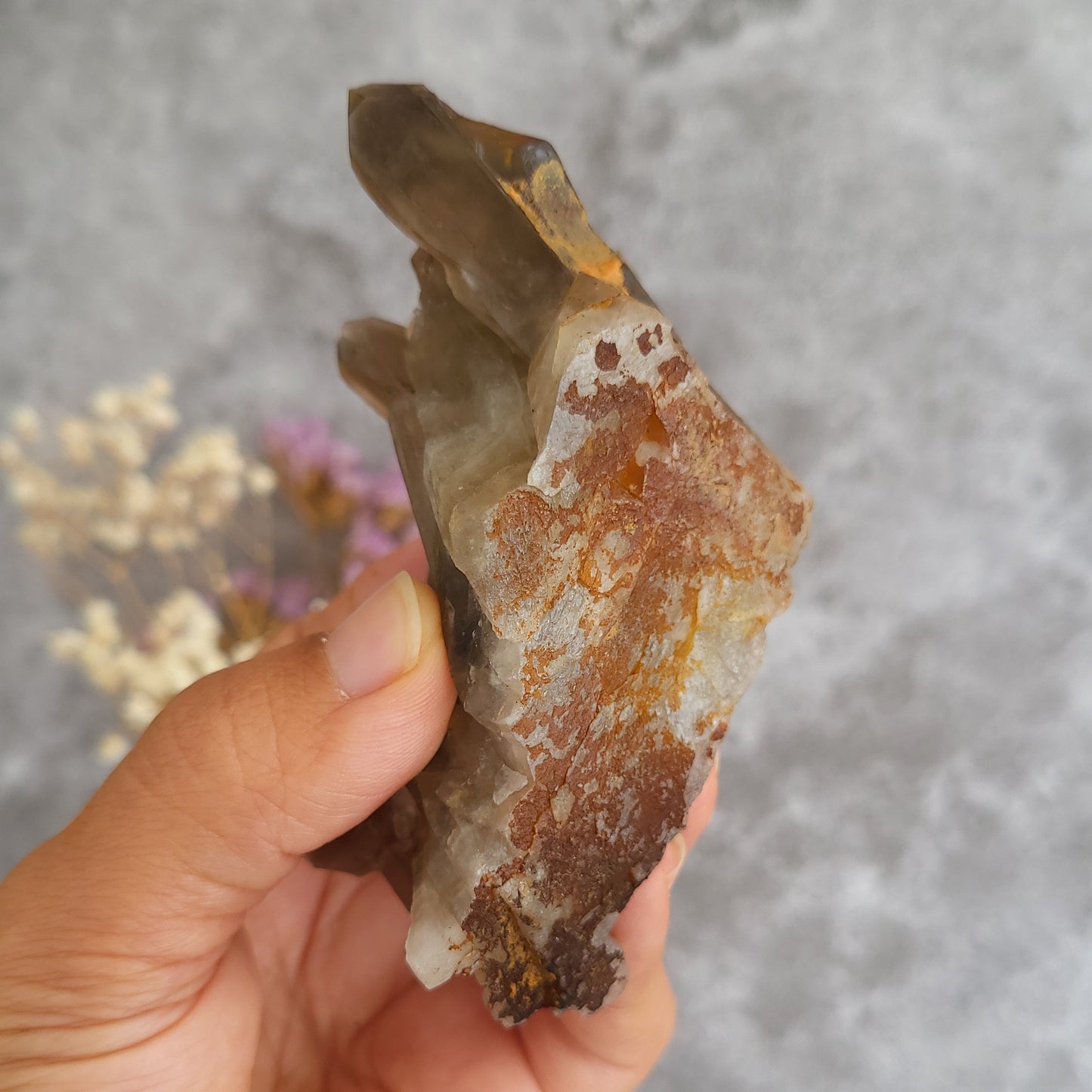 A hand holding a raw mineral specimen with a translucent smoky crystal and brownish-orange patina against a soft gray background with blurred dried flowers.
