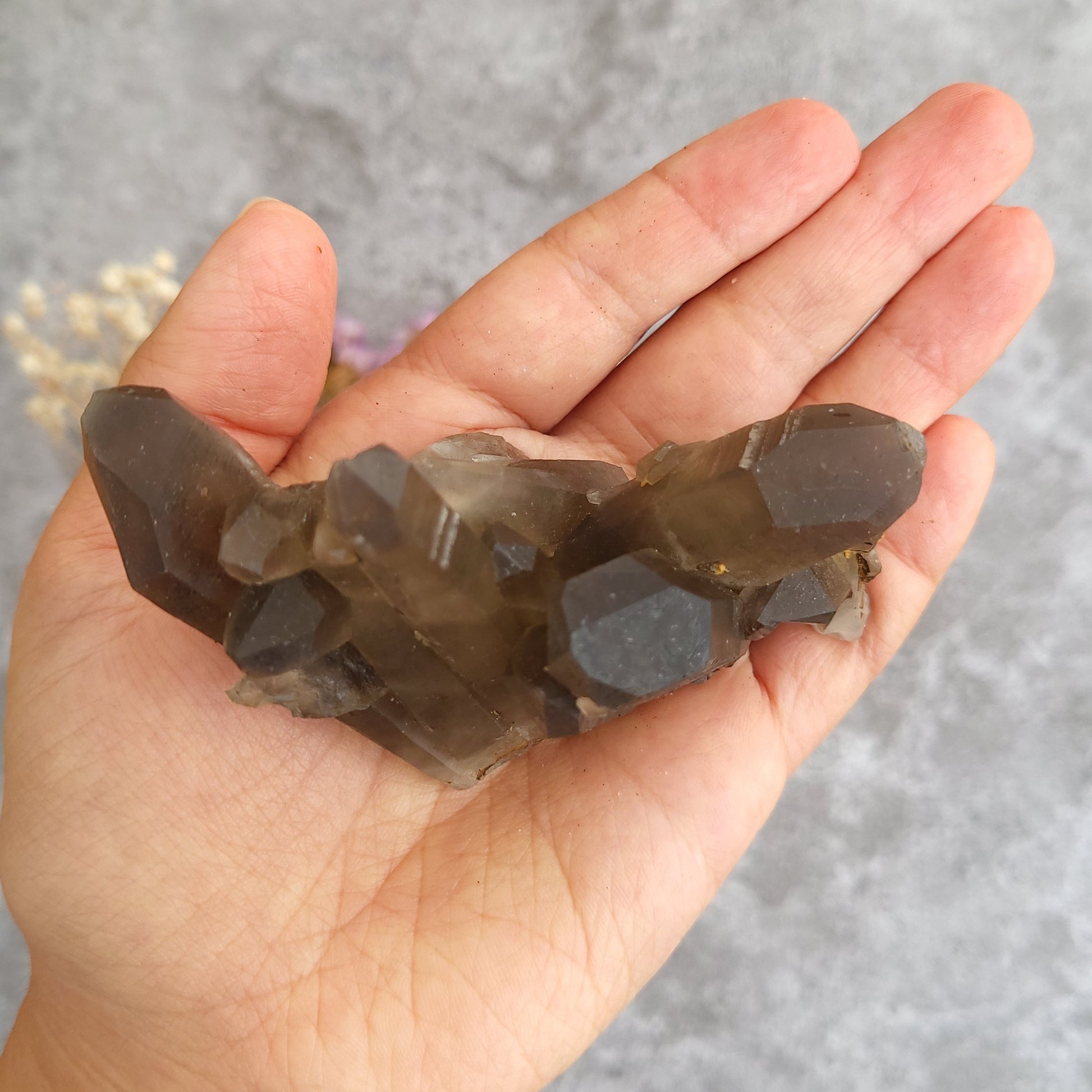 A hand holding a cluster of smoky brown and translucent crystal points against a gray textured background.