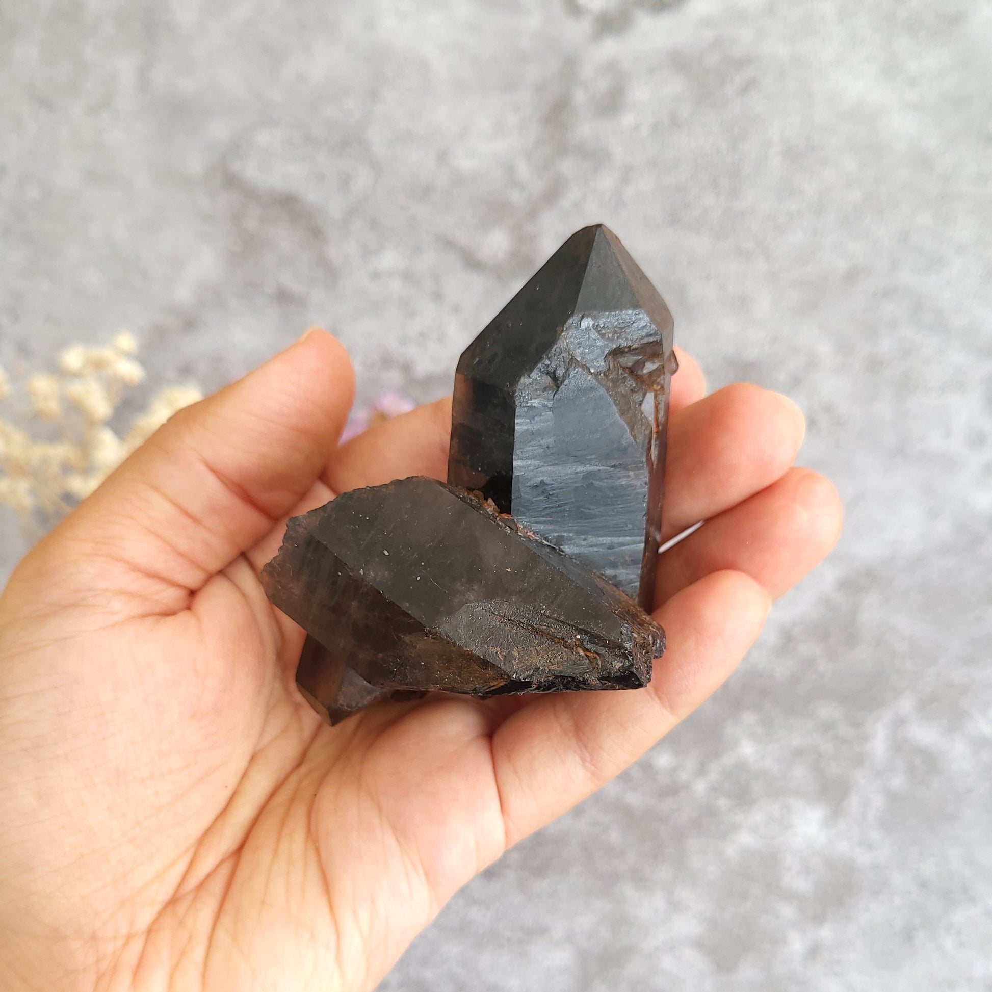 A hand holding two dark, polished crystal points against a textured gray background.