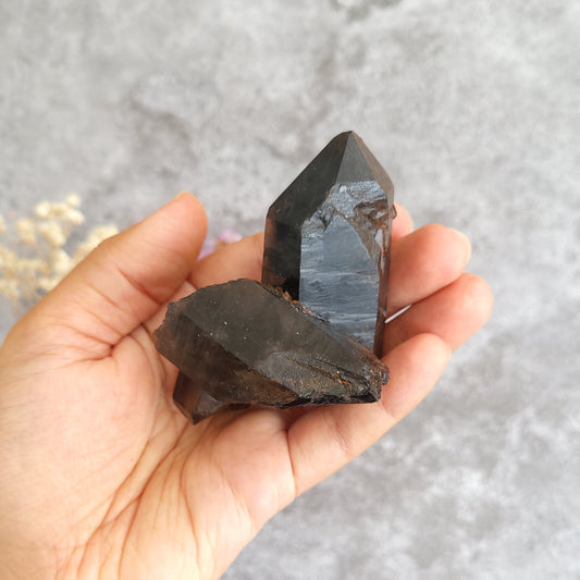 A hand holding two dark, polished crystal points against a textured gray background.