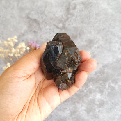 A hand holding a rough dark brown to black crystal cluster against a light gray textured background with small dried flowers in the corner.