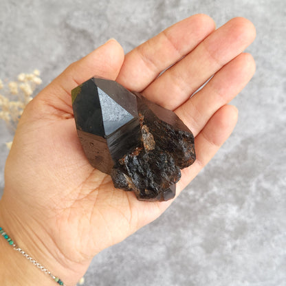 A hand holding a faceted dark brown to black mineral specimen against a soft gray textured background.