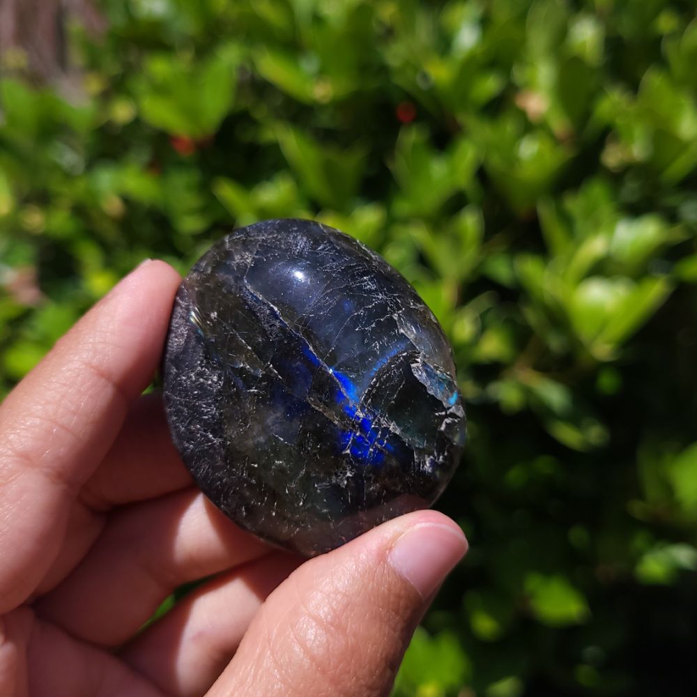 Hand holding a dark blue stone with a reflective surface against a green leafy background