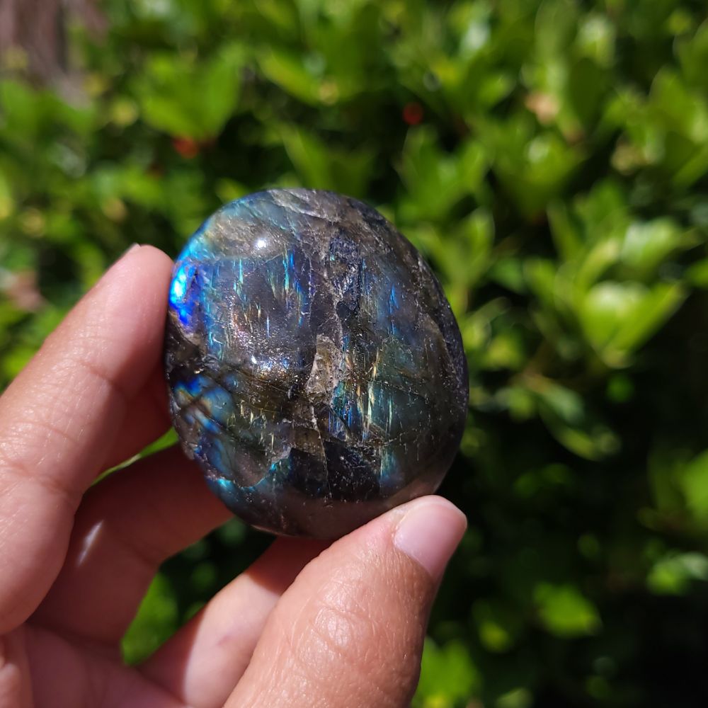 Person holding a labradorite stone with a reflective surface against a green leafy background