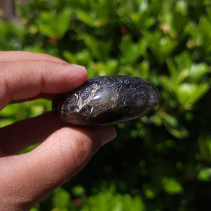 Hand holding a dark stone against a blurred green background