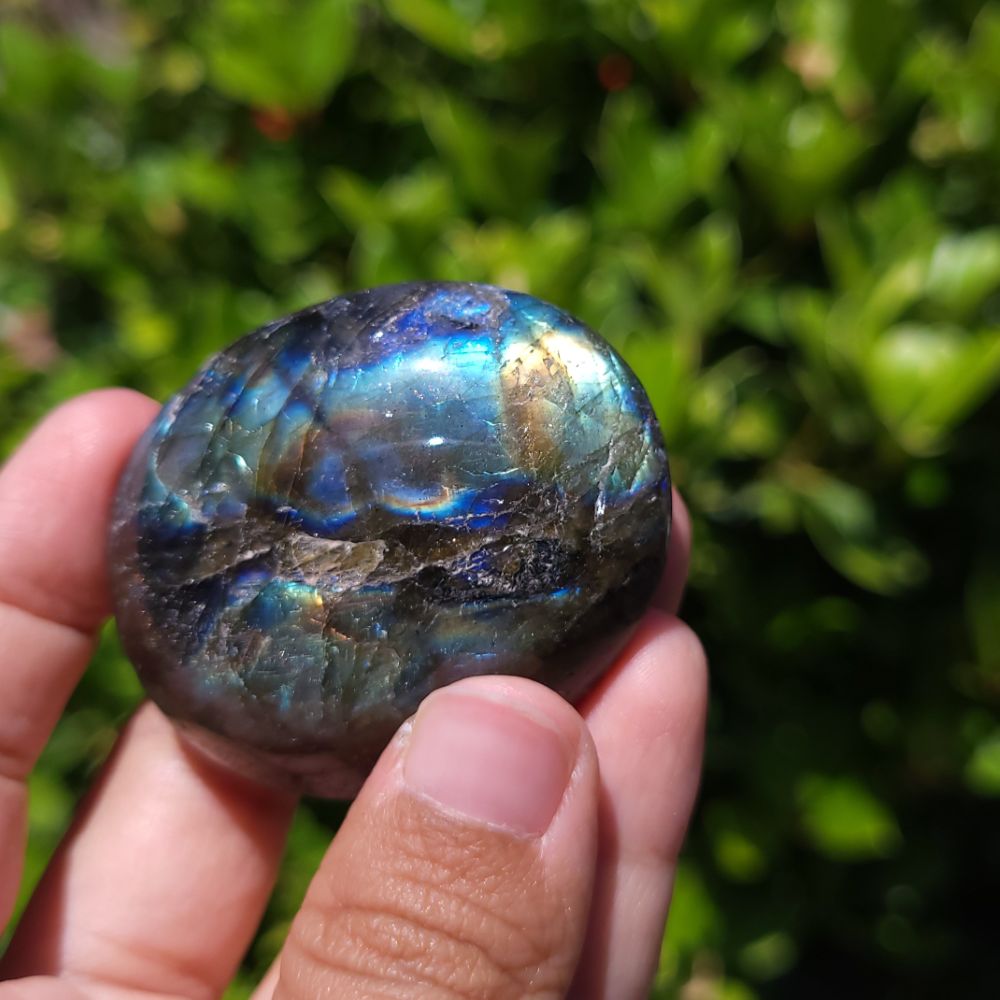 Hand holding a labradorite stone with a green leafy background