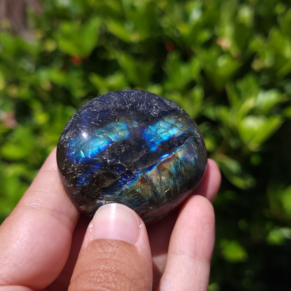 Person holding a Labradorite stone with a green leafy background