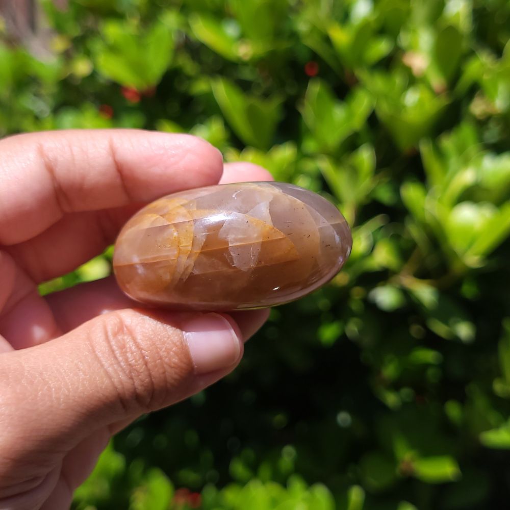 Hand holding a polished stone with a natural pattern against a green leafy background