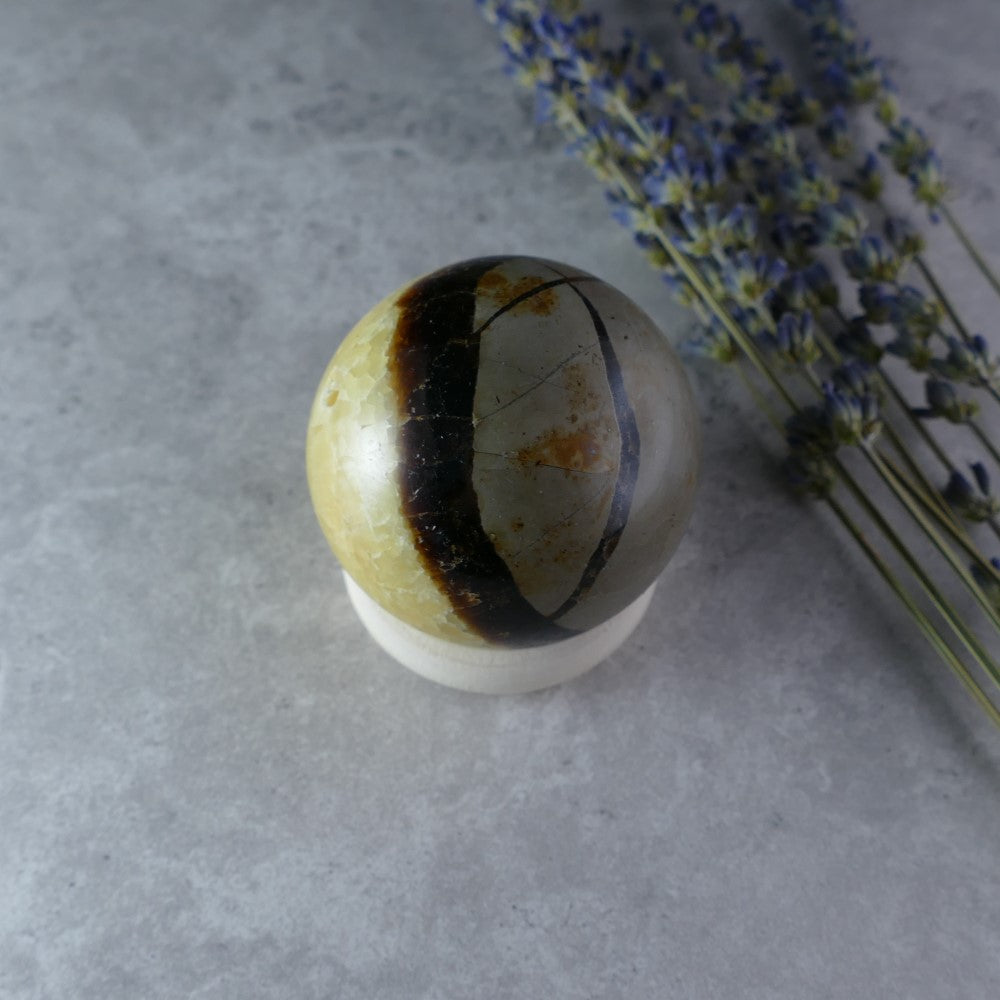 Portable Earth Magic - Dumi's Crystals Septarian Sphere (48mm, 154g). Golden calcite, aragonite, and limestone blend in captivating patterns. Perfect for on-the-go grounding.