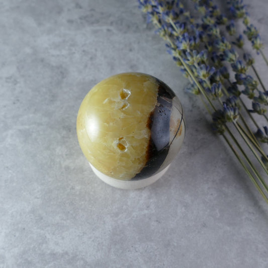 Dumi's Crystals - Septarian Sphere (48mm, 154g) - Ancient Earth Energy! Carry or meditate with this sphere featuring golden calcite, brown aragonite, and grey limestone patterns. 