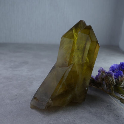 Unleash Inner Strength with Dumi's Crystals (4.8cm x 7cm x 3.6cm, 125g). Sprawling Smoky Quartz Cluster in rich hues promotes grounding & positive transformation.