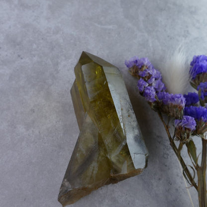 Dumi's Crystals Smoky Quartz Cluster (4.8cm x 7cm x 3.6cm, 125g) - Sprawling Beauty! Grounding energy & rich smoky hues create a captivating crystal landscape.