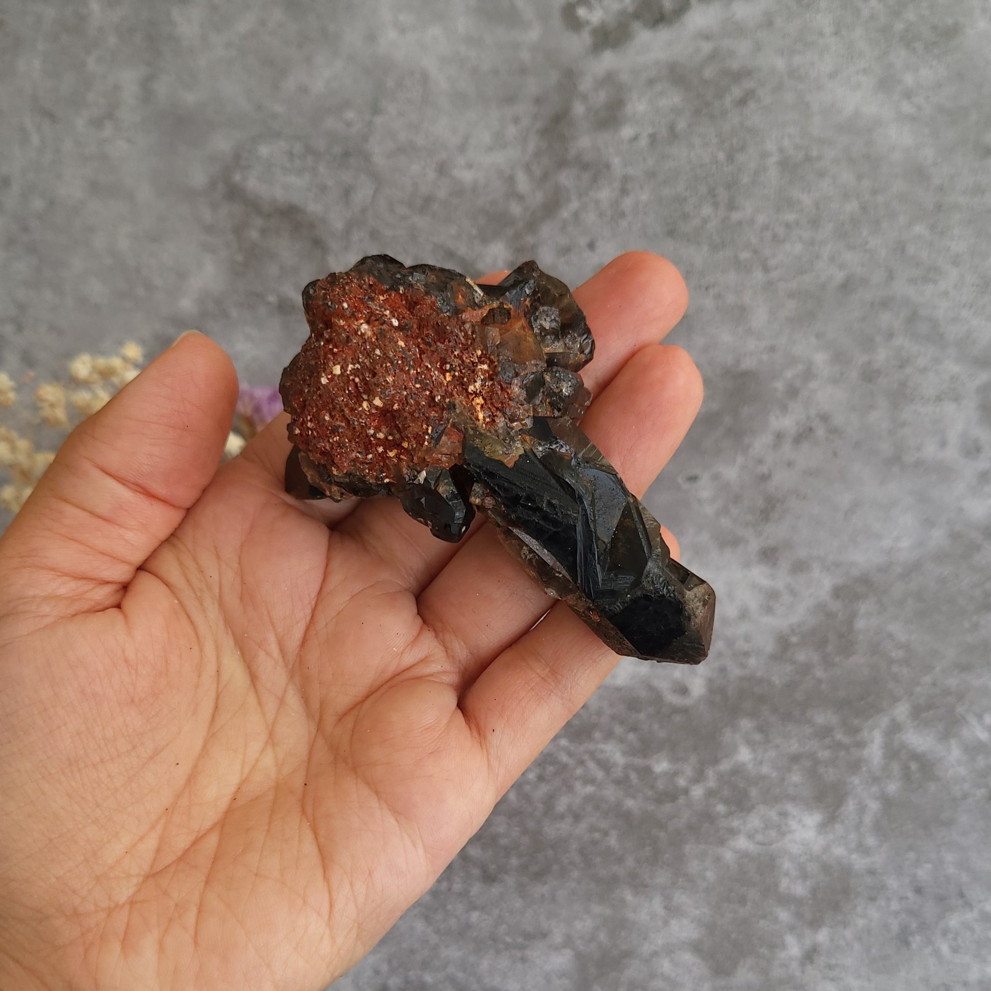 A hand holding a rough mineral specimen featuring a dark black crystal point and a textured reddish-brown metallic cluster, set against a gray stone background.