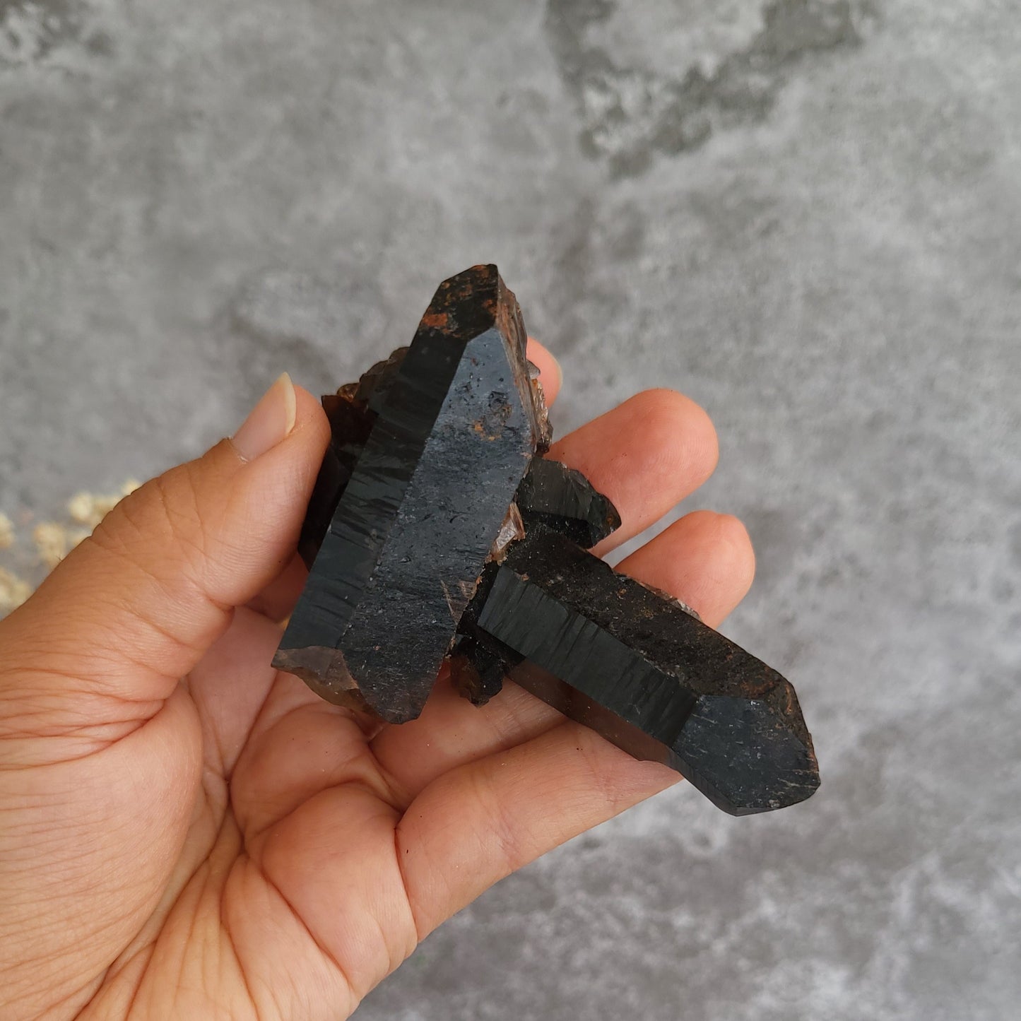 A hand holding a cluster of rough black mineral crystal points against a textured gray background.