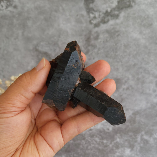 A hand holding a cluster of rough black mineral crystal points against a textured gray background.