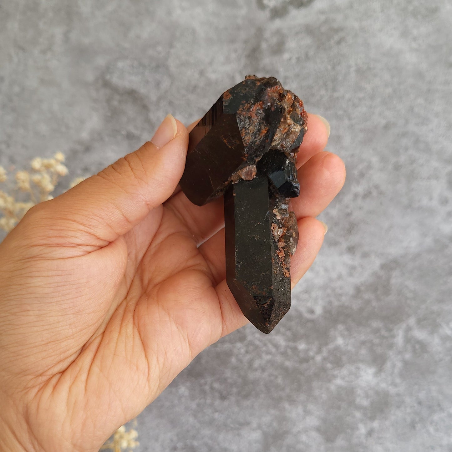 A hand holding a dark natural crystal cluster with rough mineralized sections, photographed against a gray textured background.